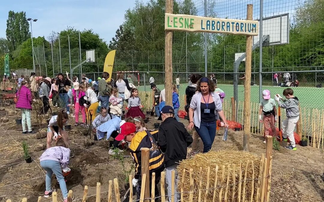 Las zamiast dzwonka - jak szkoła pomogła przebodźcowanym dzieciom odzyskać spokój.