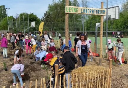 Las zamiast dzwonka –  jak szkoła pomogła przebodźcowanym dzieciom odzyskać spokój.