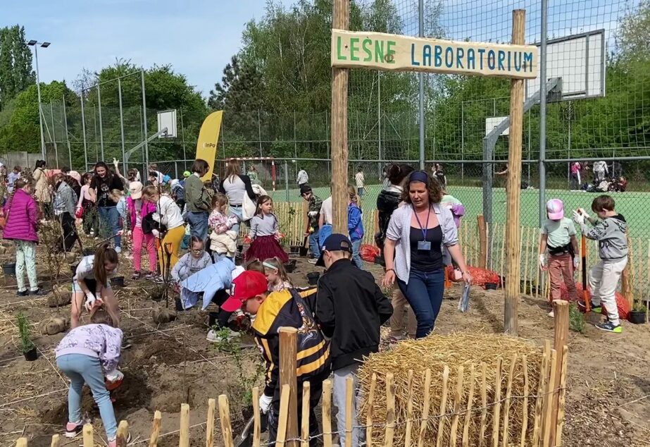 Las zamiast dzwonka –  jak szkoła pomogła przebodźcowanym dzieciom odzyskać spokój.