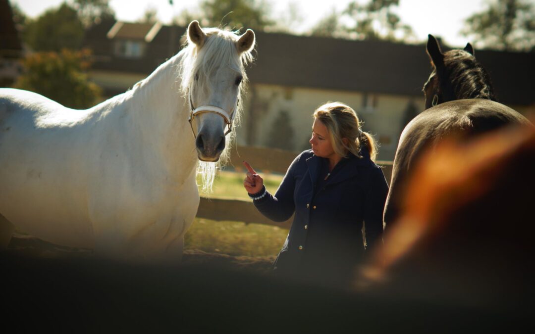 Szkolenie dla liderów i integracja zespołu z końmi prowadzone przez Ksenię Samsel podczas warsztatów horse coachingu.