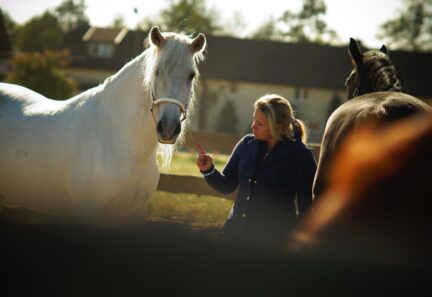 Horse coaching dla liderów. Co koń pokazuje o przywództwie i integracji zespołu?