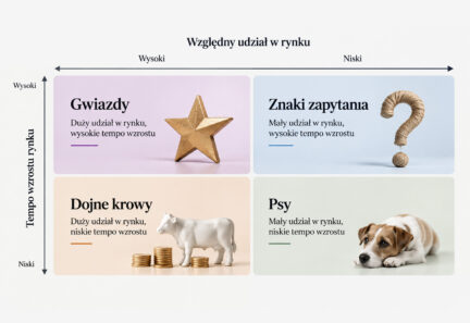 Macierz BCG. Które usługi ciągną Twoją firmę, a które ją po cichu zjadają